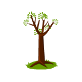 BrainPOP JR