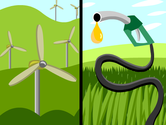 Humans And The Environment Brainpop Answers