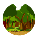 BrainPOP JR
