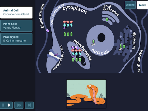 BrainPOP Science